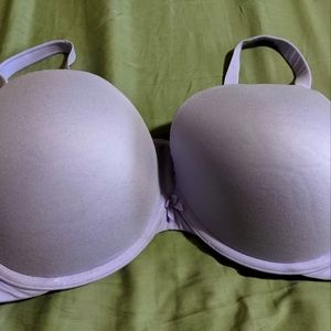 44D bra